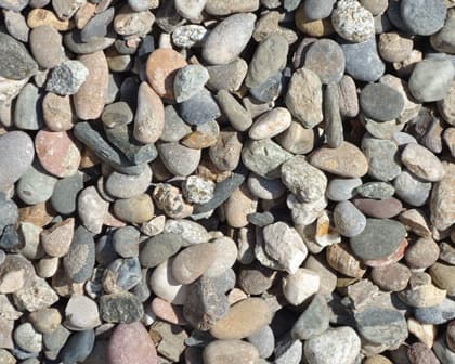 Gravilla de río
