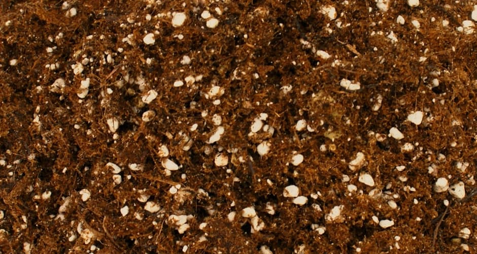 Sustrato especial cultivo